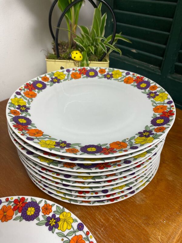 Assiettes plates en porcelaine Bavaria