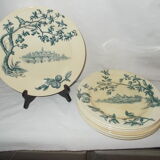 Lot of 8 flat plates iron earth Sce Maurice