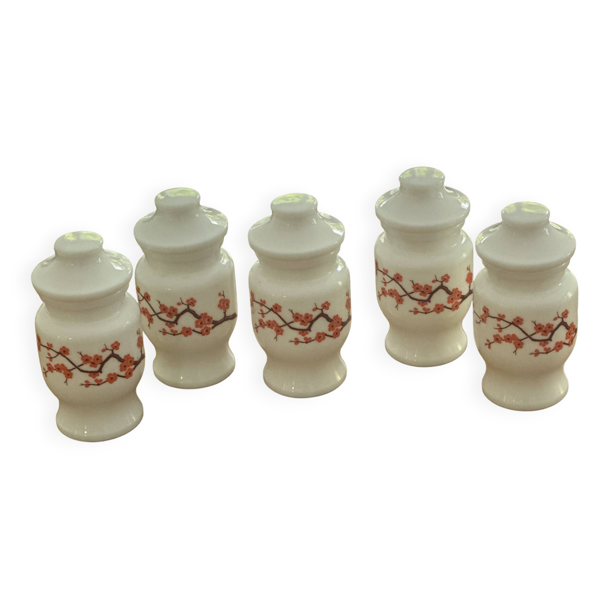 Set of 5 vintage opaline Ariel spice jars