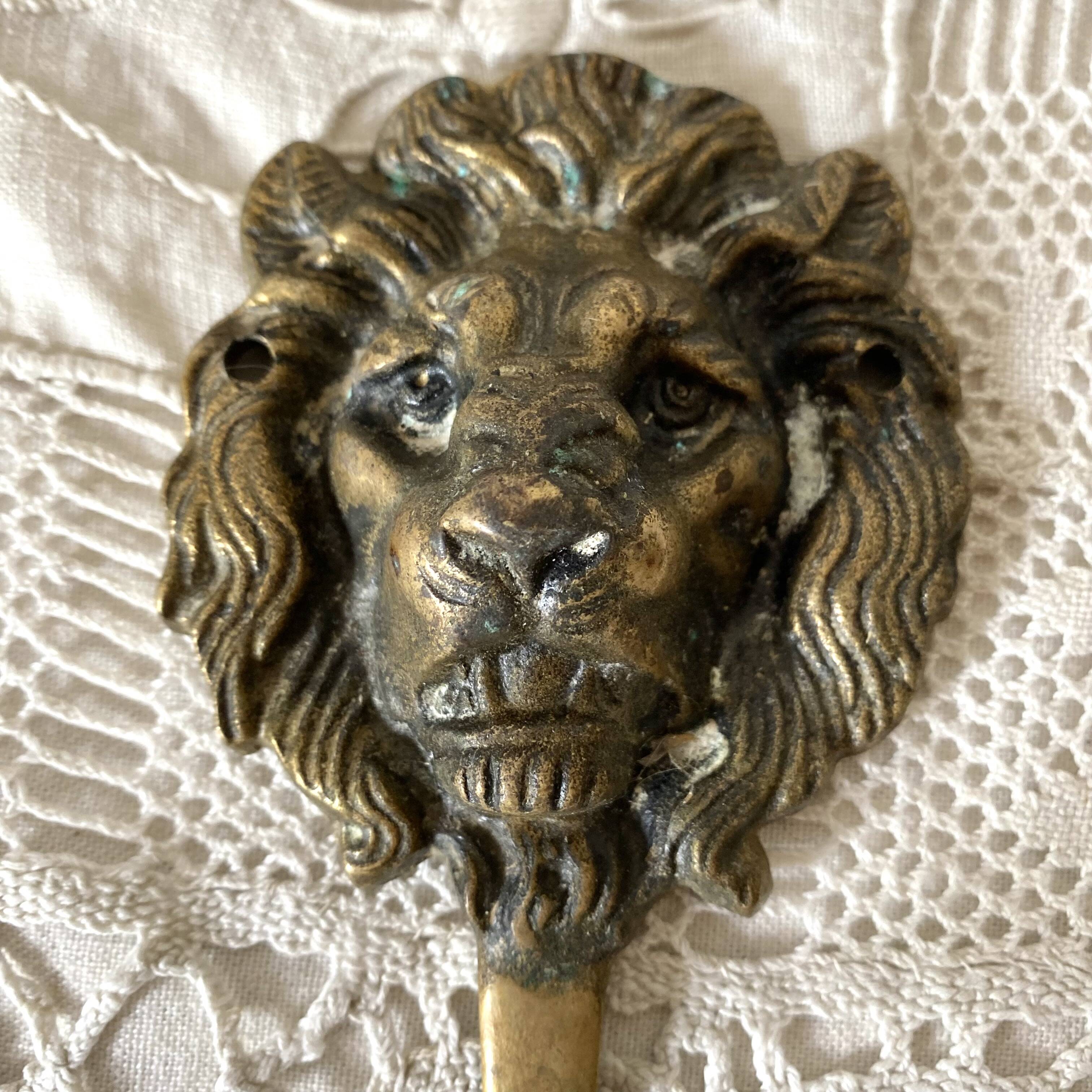 Brass lion head hooks