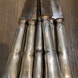 Saglier Brothers cutlery cutlery 48 pieces