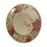 Collection plate