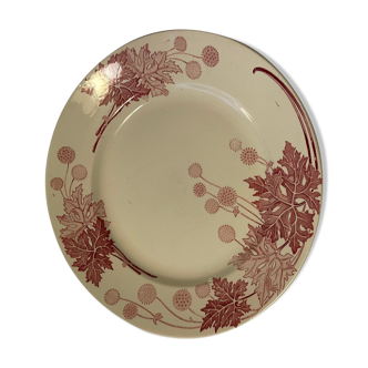 Collection plate