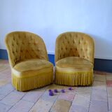 Armchair yellow toad