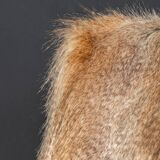 Unique Armchair