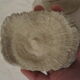 Coral white set vintage deco