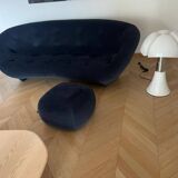 LIGNE ROSET LIVING ROOM SET
