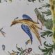 Antique Nevers earthenware plate, late 19th century