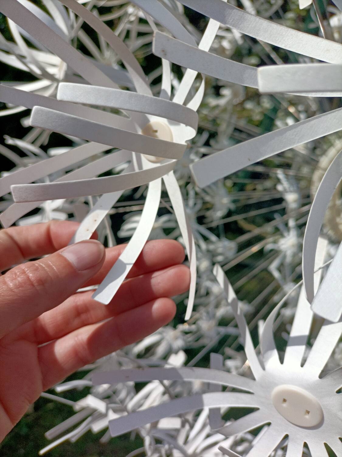 Dandelion pendant light