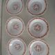 6 plates orange flowers model scania arcopal france vintage