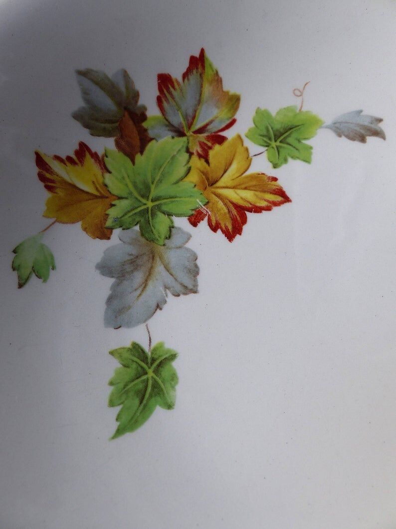 4 Gien "primefleur" hollow porcelain plates