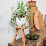 Farm wood stool