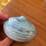 Vase, soliflore, sea urchin, ceramic, blue, to be identified.