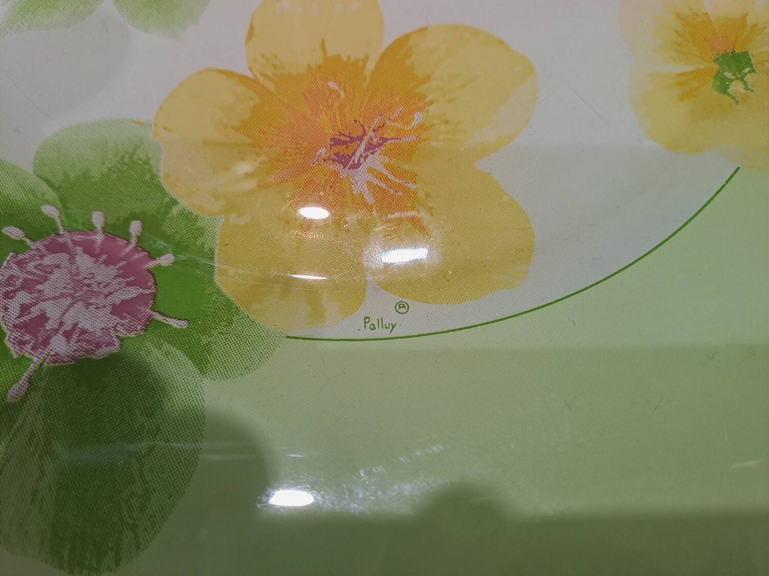 Dinner plates, Marc Palluy