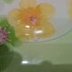 Dinner plates, Marc Palluy