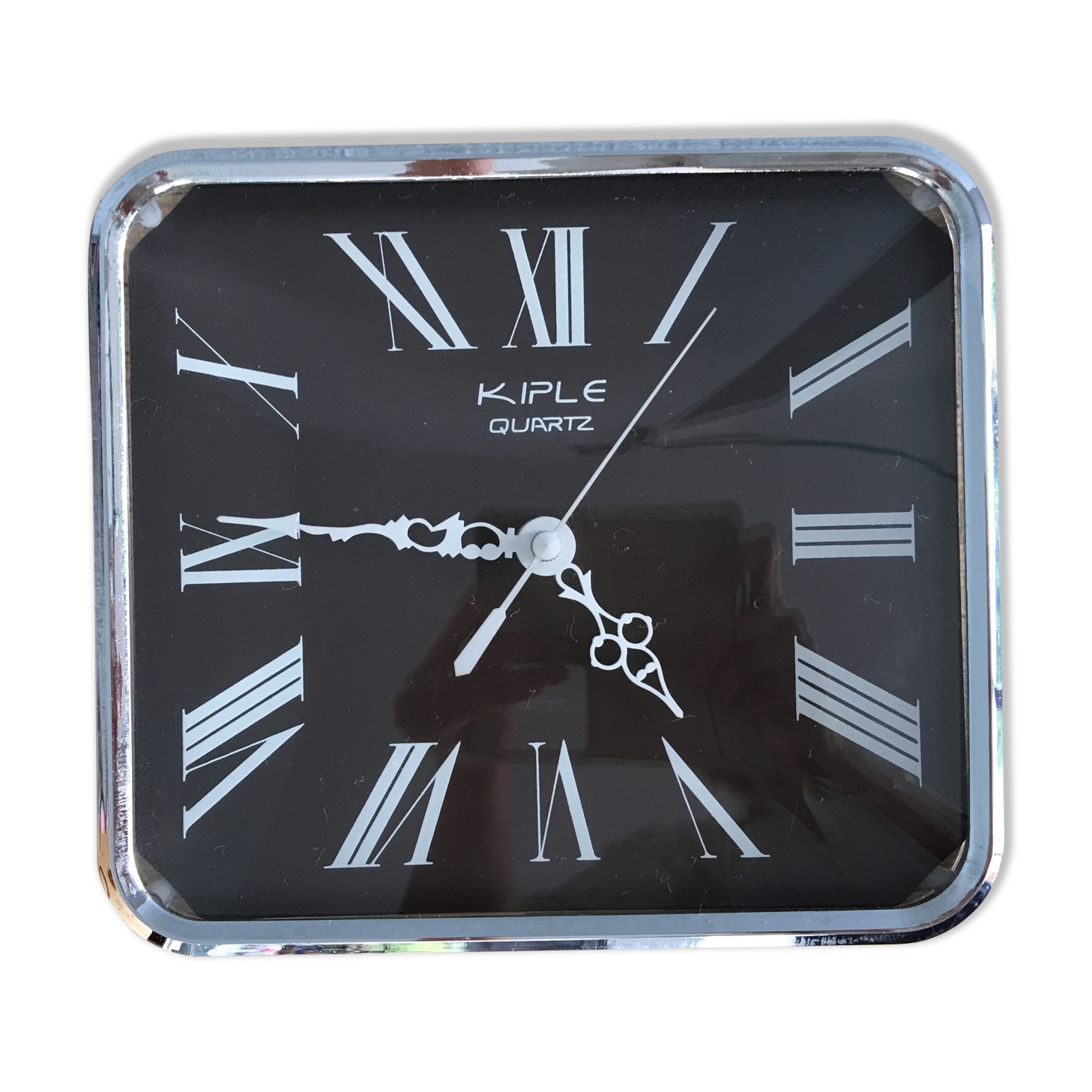 Pendulum formica Kiple, 1970