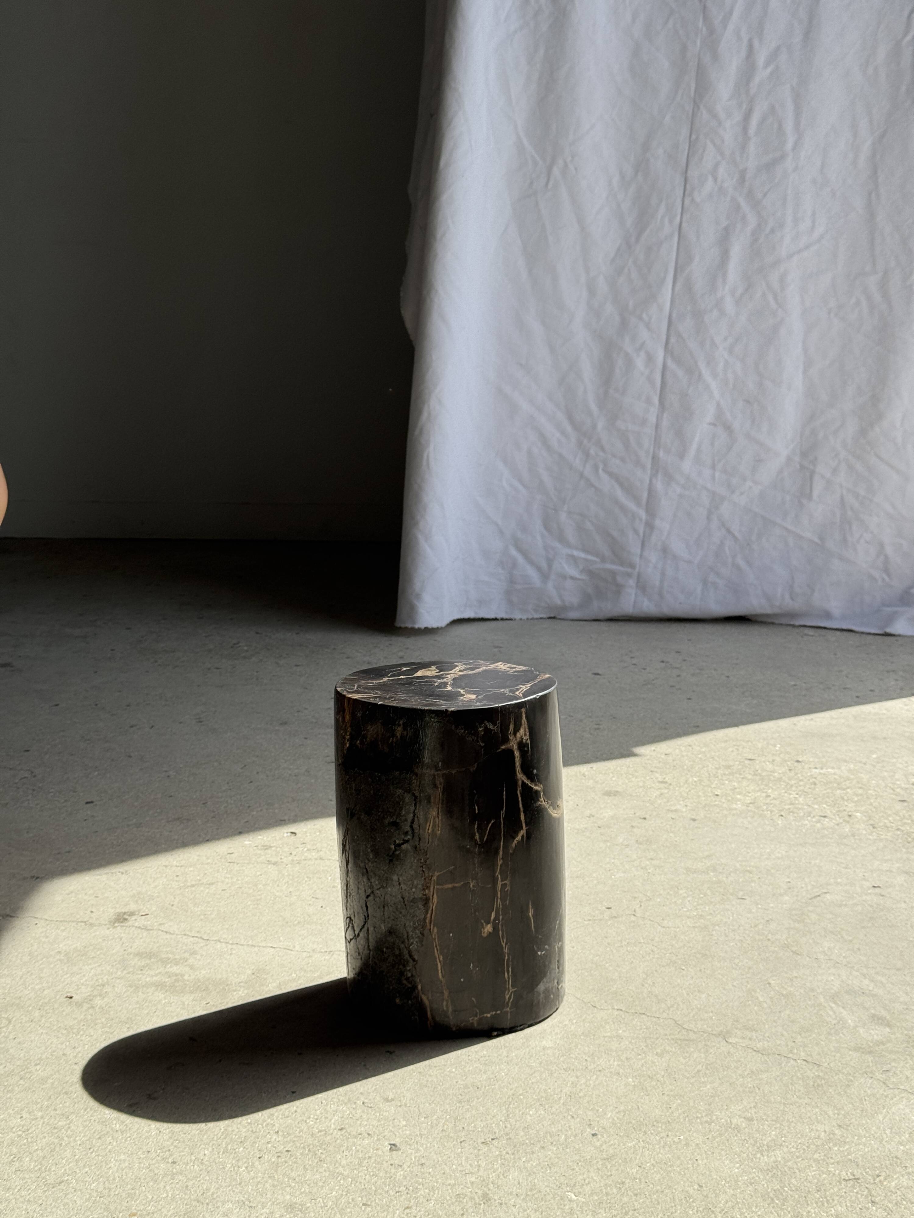 Table d'appoint en bois pétrifié noir