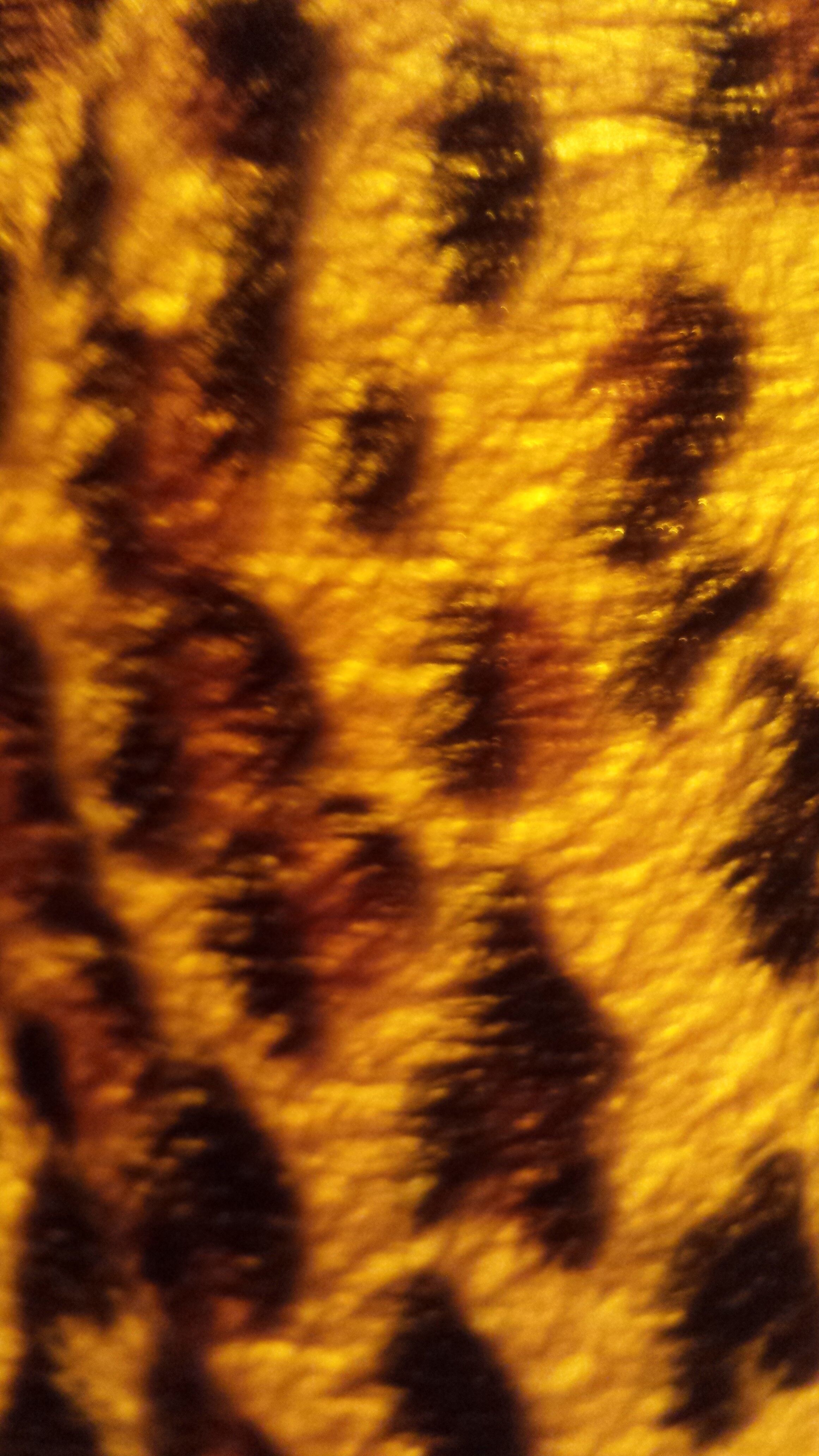 Table lamp with leopard lampshade