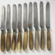 11 cheese/dessert knives with horn and steel handles, T-D Paris