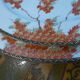 2 serving dishes vintage porcelain Japan