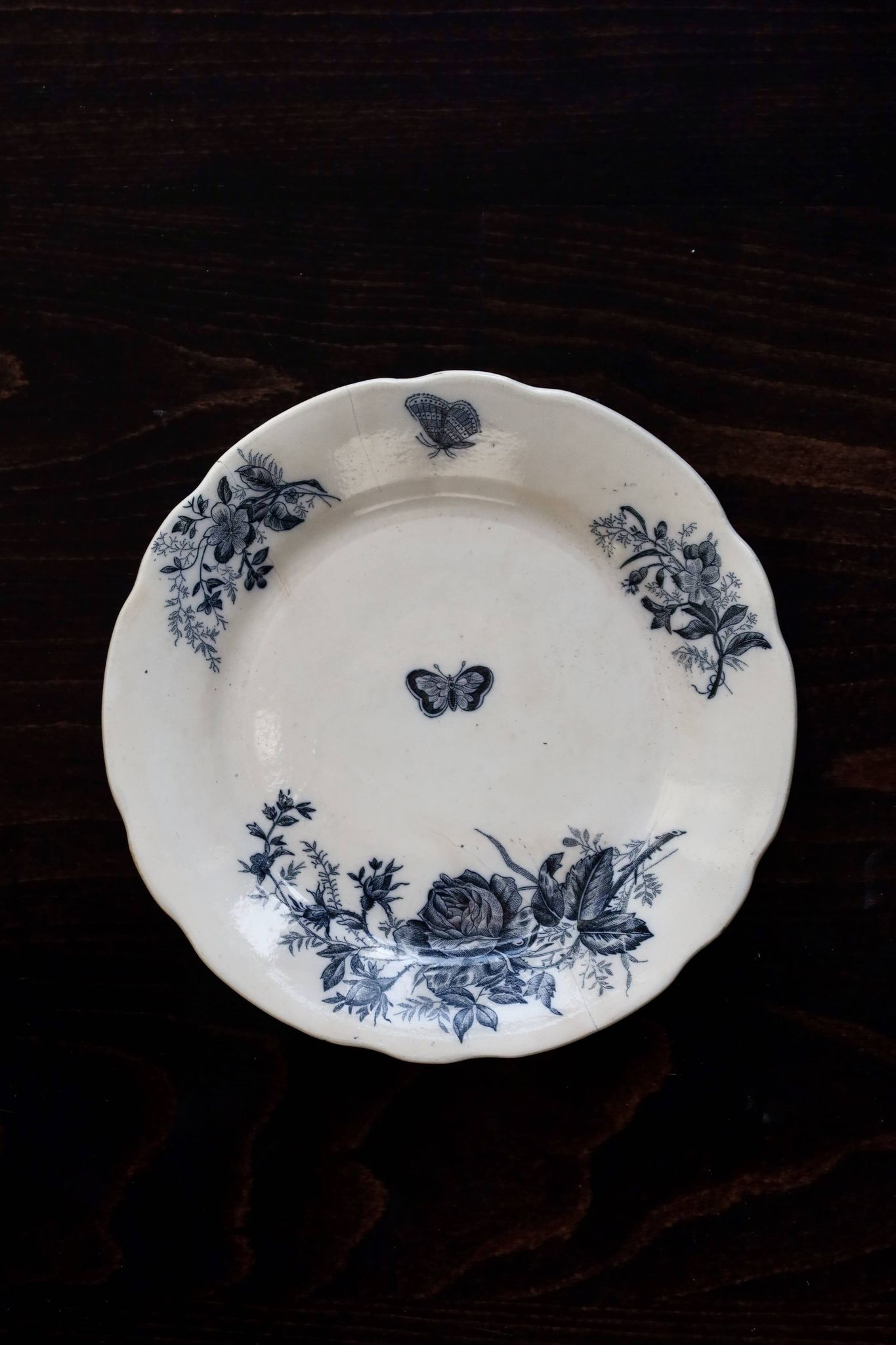 Antique flat plates, ironstone, Onnaing Nord - Floral and ribbon pattern.