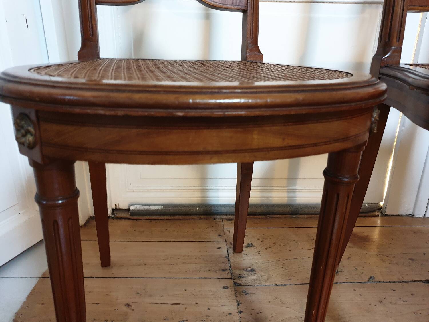 Louis XVI cane chairs