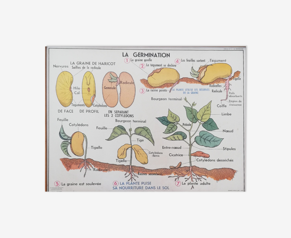 Affiche scolaire ancienne MDI