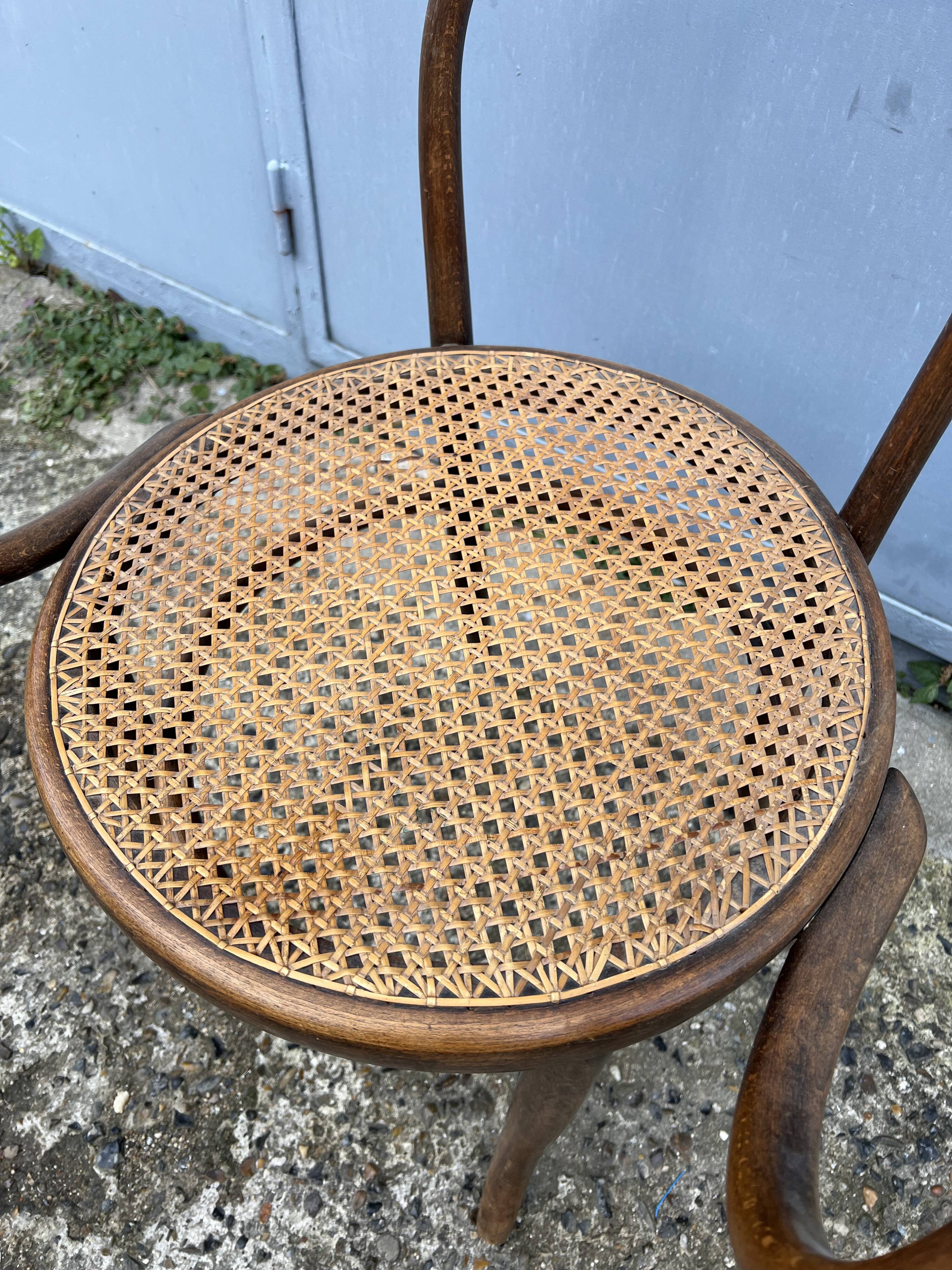 Thonet 209 chair by Mundus