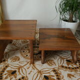 Pair of door artisanal plants in walnut