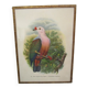 Engraving of ancient birds