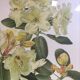Botanical setting Rhododendron Wardii by Riefel