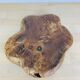 Brutalist olive wood pocket emptier, solid wood
