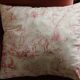 Paire Coussins Toile de Jouy rose ancienne