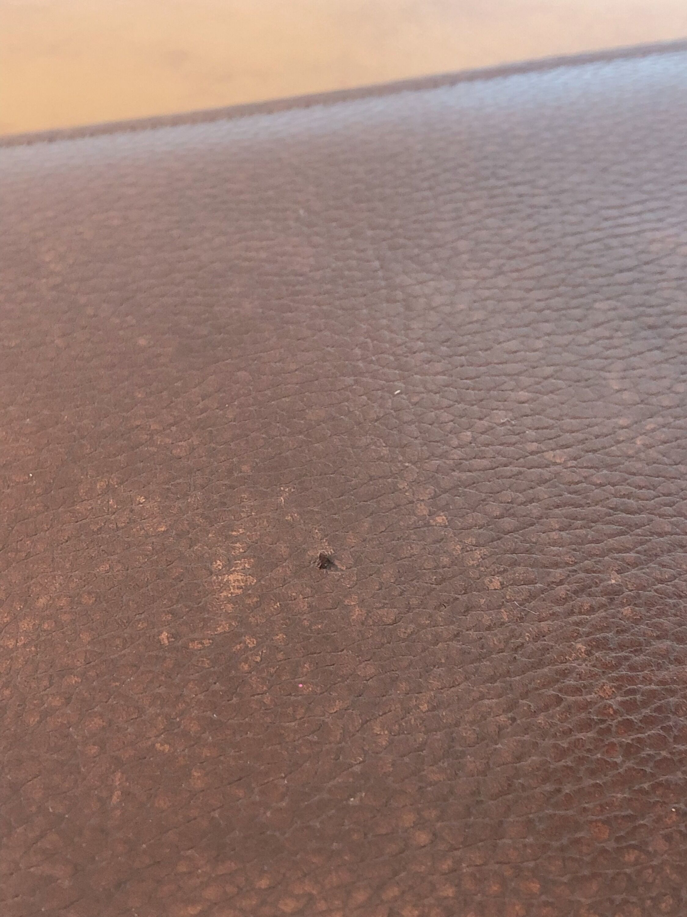 Double brown leather underhand signed Lancel