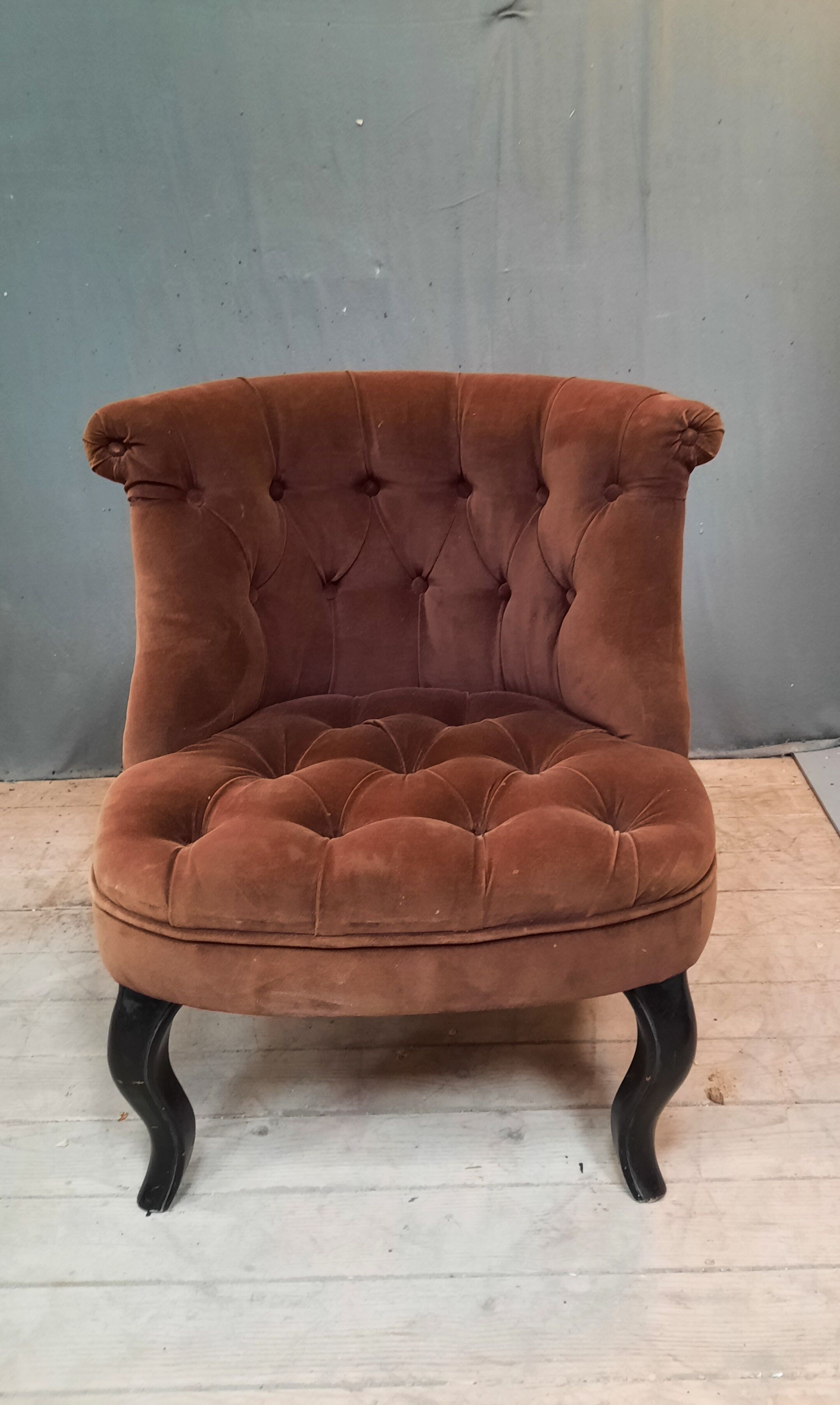 Facteuil toad in padded velvet
