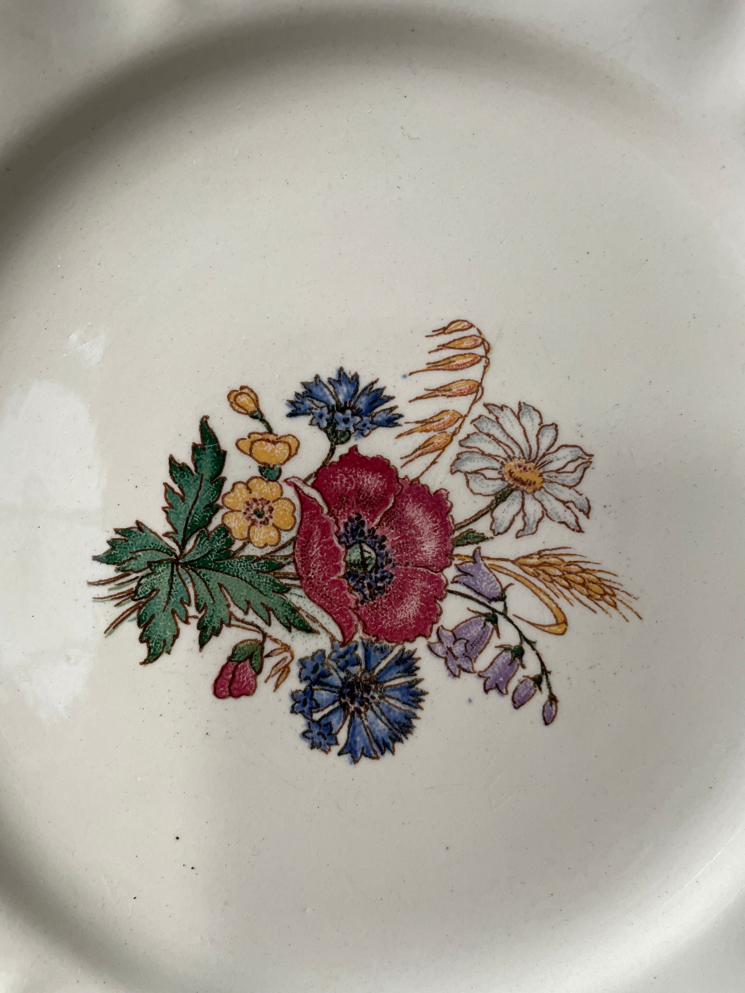 Set of 12 dessert plates Agreste Digoin Sarreguemines