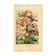 Botanical engraving from 1896 by Godart • Hybrid columbines Aquilegia coerulea • Old lithograph