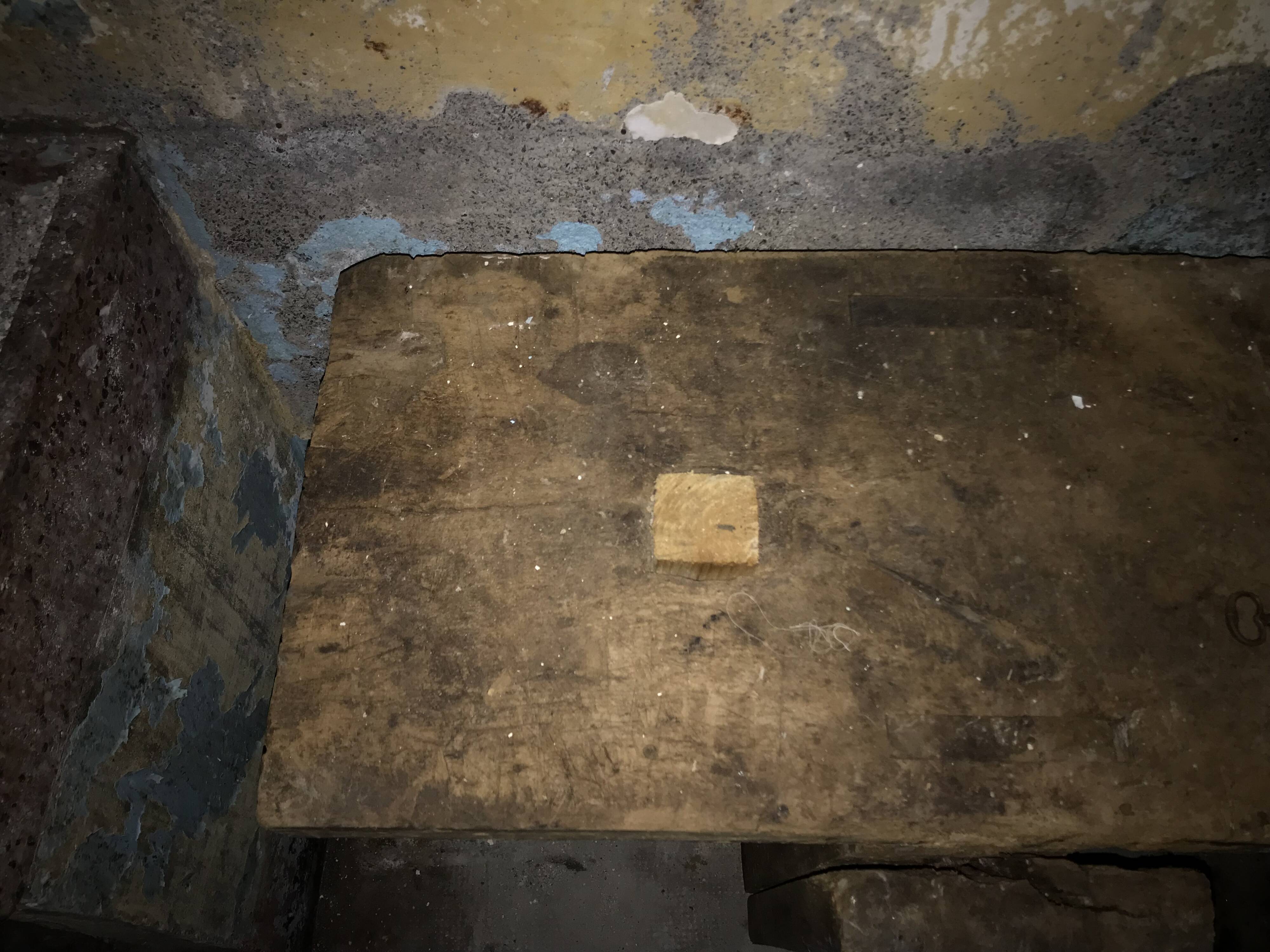 Carpenter's workbench