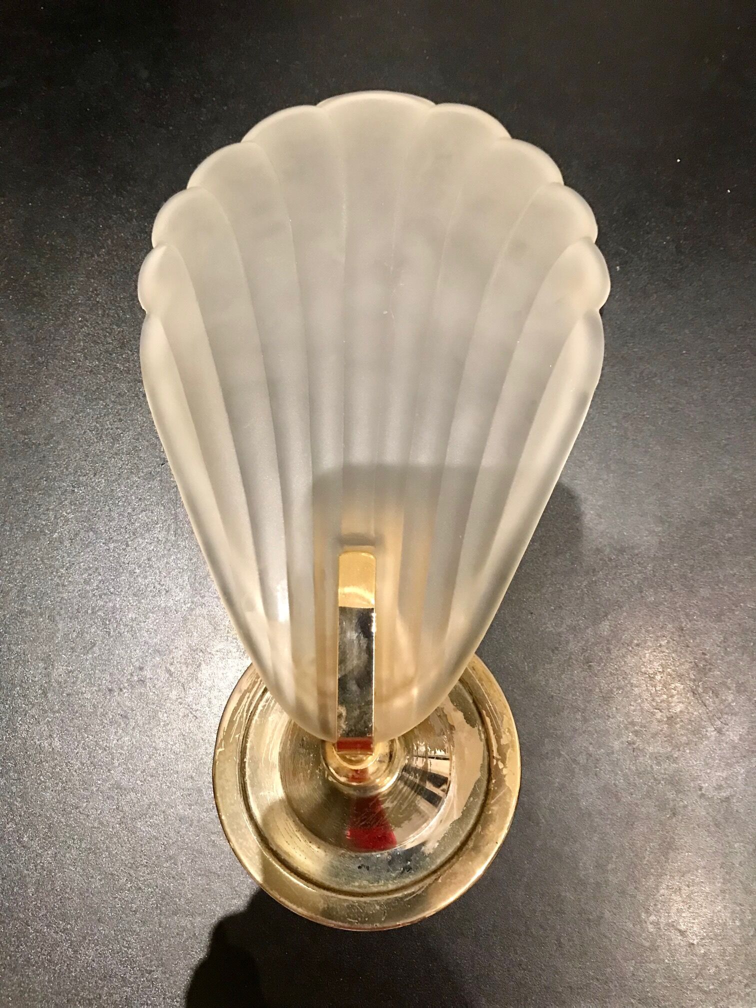 Glass shell wall lamp