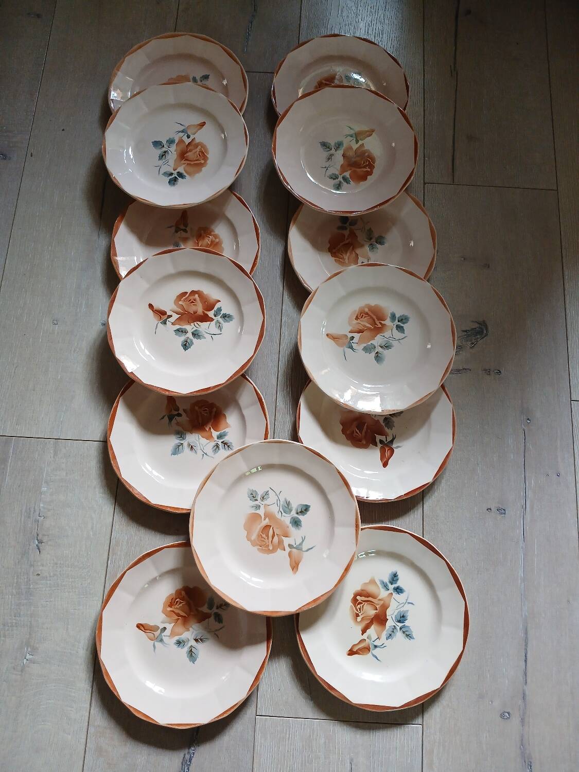 25 old Digoin and Sarreguemines plates