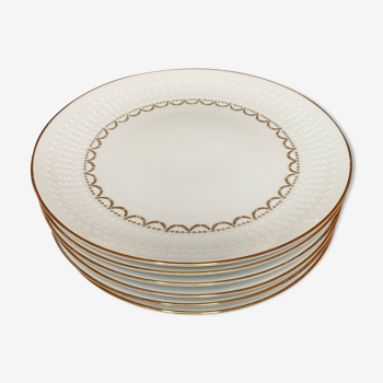 Porcelain plates with gold motifs