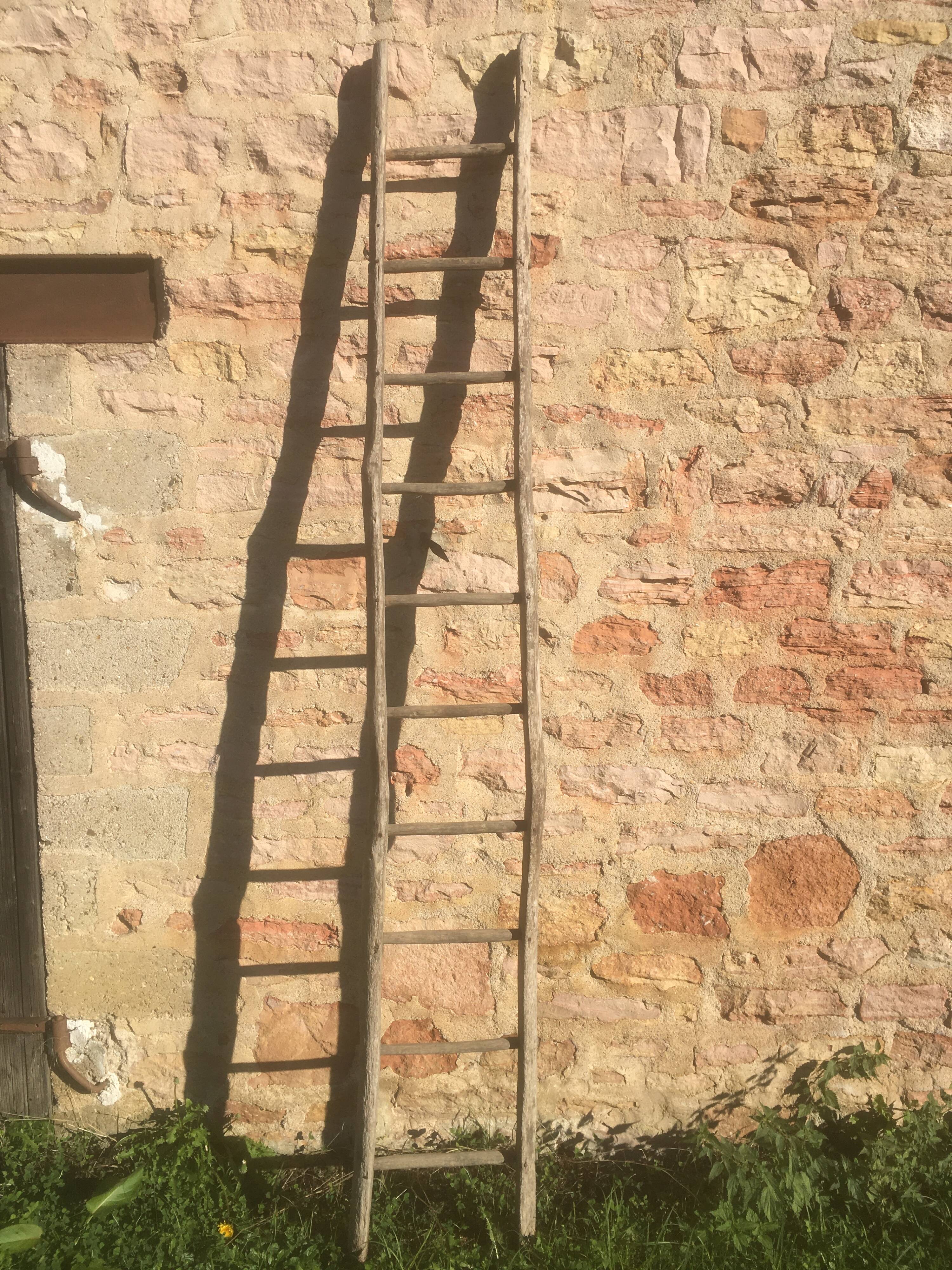 Acacia farm ladder 3/40s