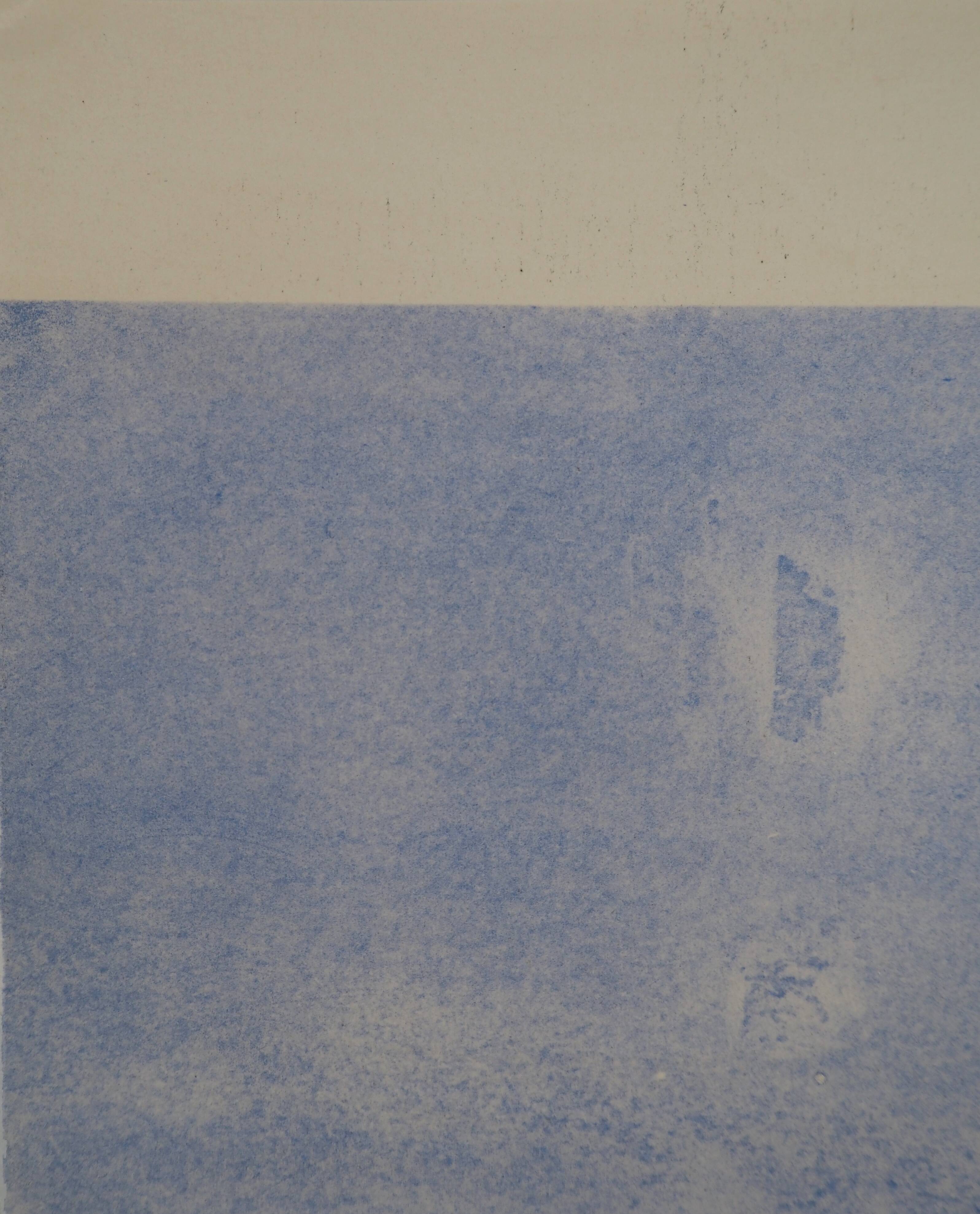 Georges braque: birds in the sky - signed stencil