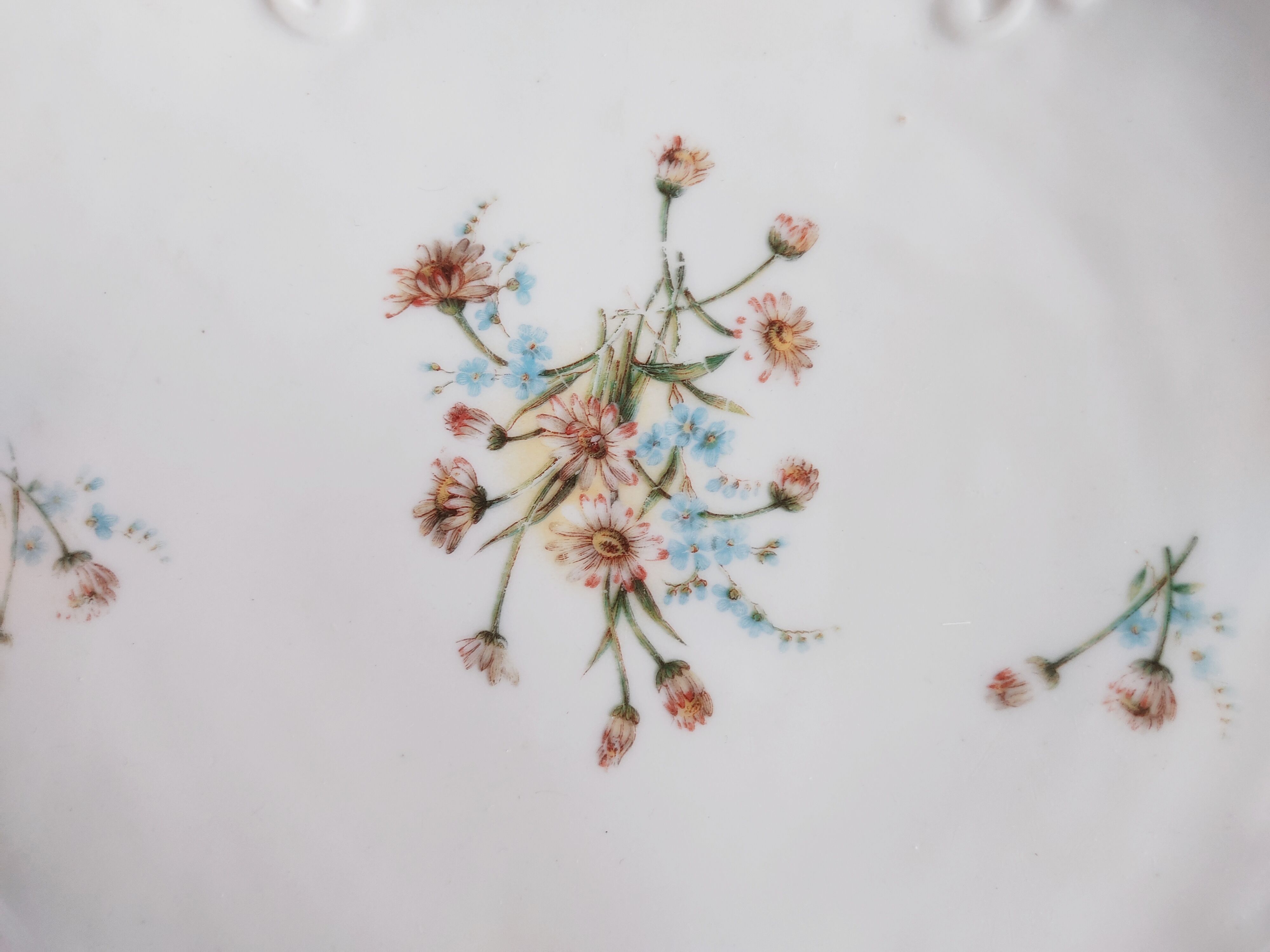 Porcelain shell-shaped dish