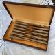 Set of 11 Apollonox table knives in a box