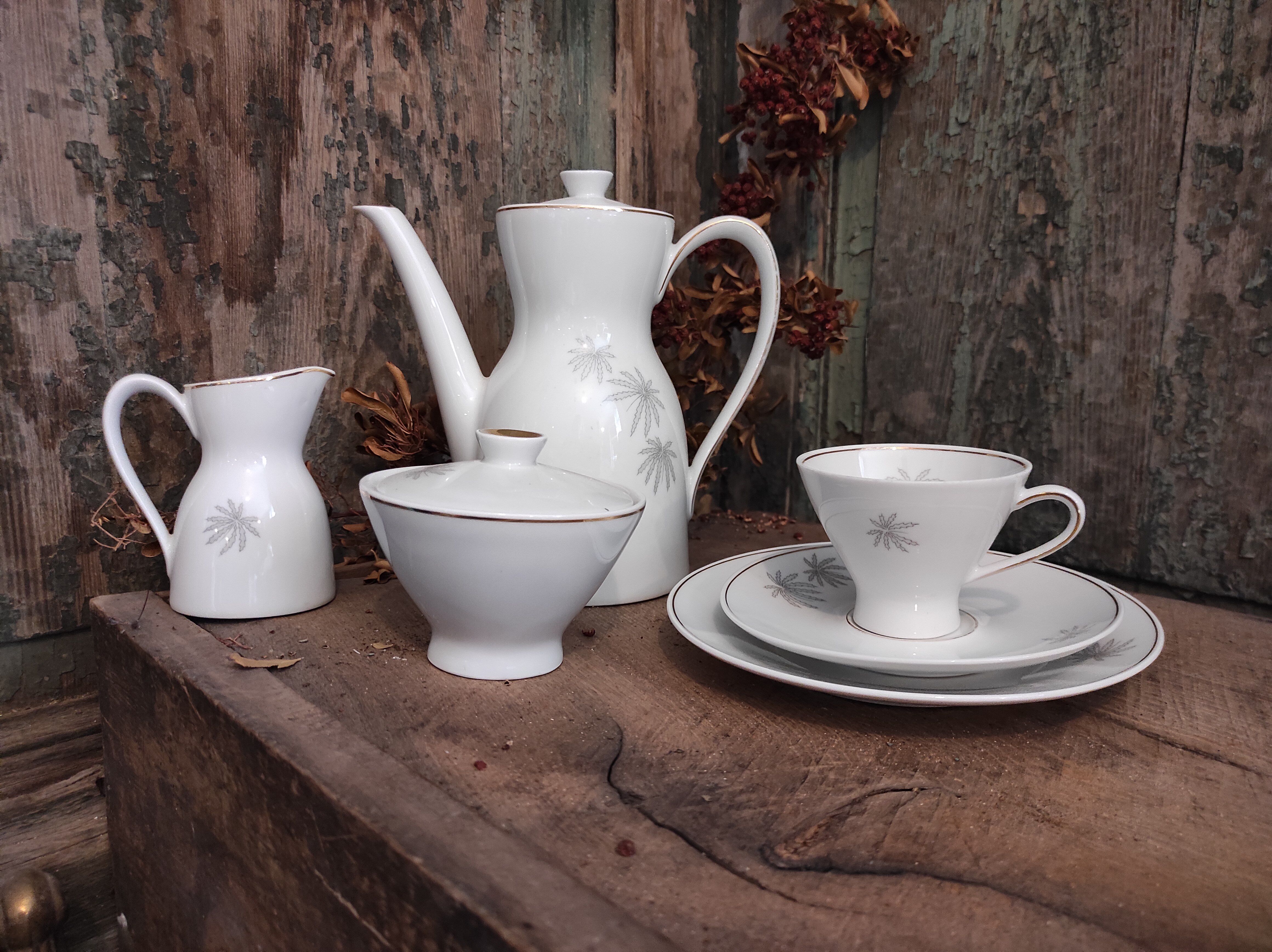 Vintage Mitterteich Bavaria porcelain coffee set