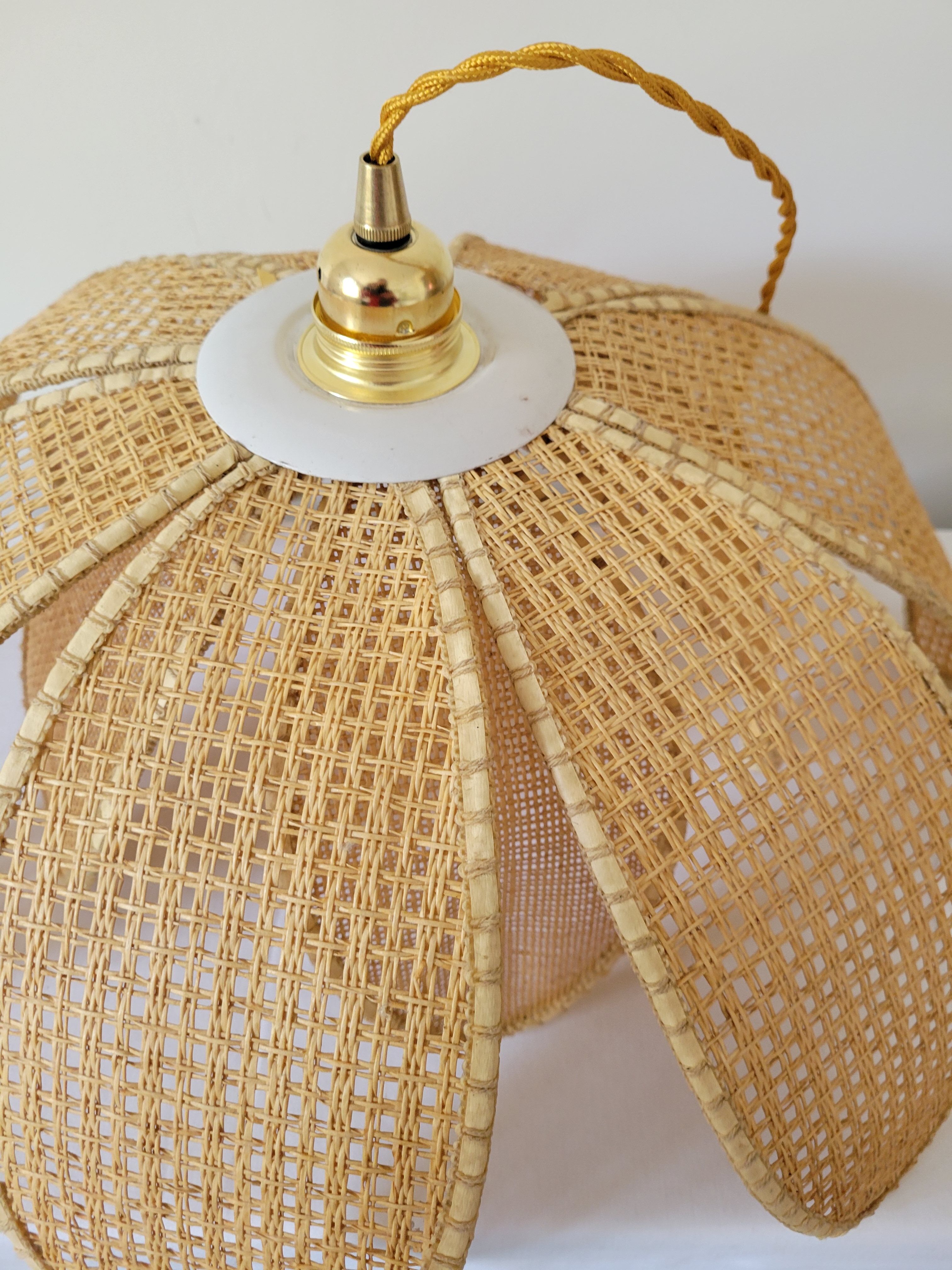 Rattan palm suspension and canning