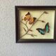 Vintage naturalized butterflies frame - cabinet of curiosities - taxidermy