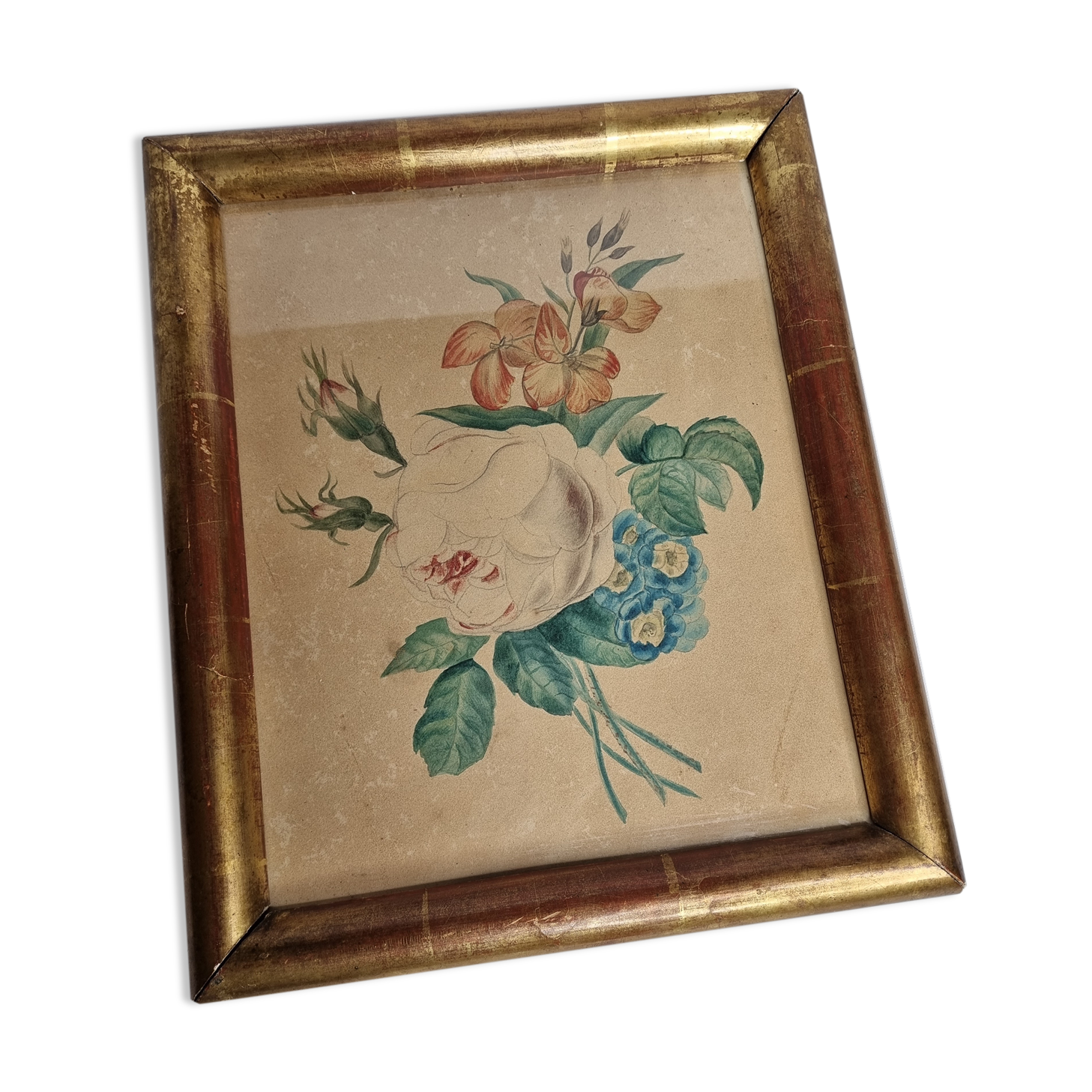 Original framed drawing from the beginning of the 19th century inspired by the work of Pierre-Joseph Redouté