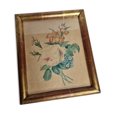 Dessin original encadré du début du XIXème siècle inspiré de l'oeuvre de Pierre-Joseph Redouté